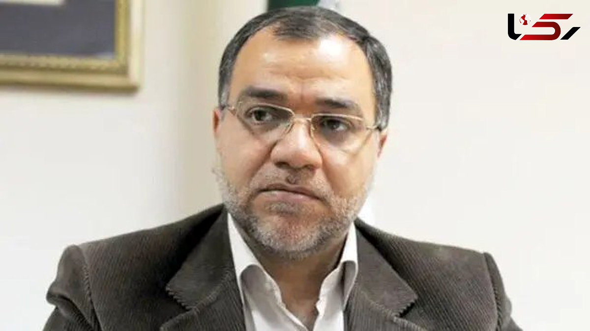 فضائلی: سخنگوی رهبر انقلاب نیستم 