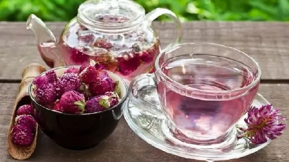 بیمه سلامت بدن با نوشیدن چای شبدر قرمز