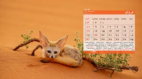 تقویم مرداد 1404 / مناسبت ها و تعطیلات مرداد 1404