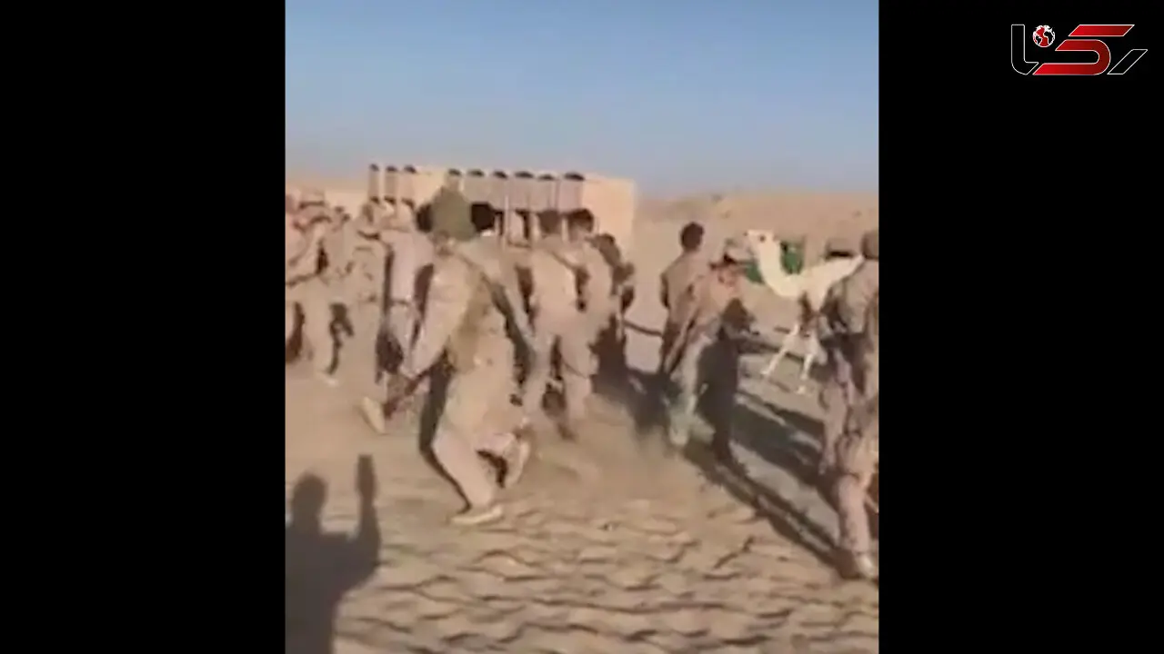 حمله شترها به سربازان آمریکایی + فیلم
