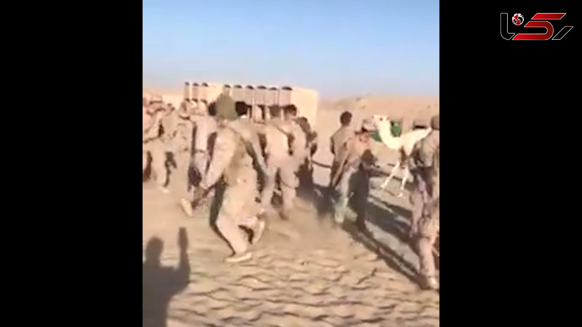 حمله شترها به سربازان آمریکایی + فیلم