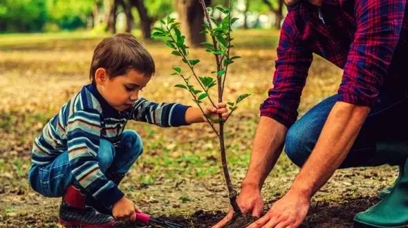 هر ایرانی 3 درخت بکارد، ایران نفس می کشد/ اهمیت زیاد کاشت درخت بر محیط زیست کشور و اقتصاد مردم 