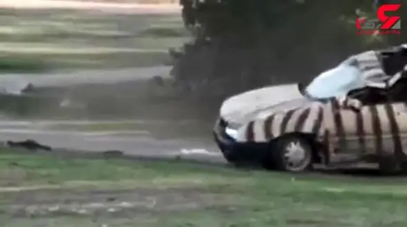  کرگدن غول پیکرخودروی باغ وحش را مچاله کرد + فیلم 