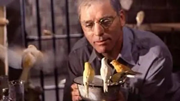 پرنده باز آلکاتراز یکی از مشهورترین سکانس های سینمایی را دارد +عکس