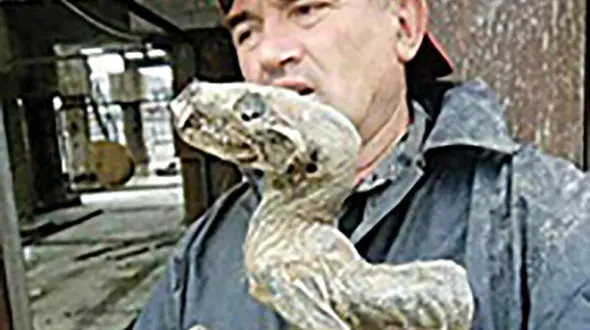 پیدا شدن مومیایی یک دایناسور در معدن الماس+عکس