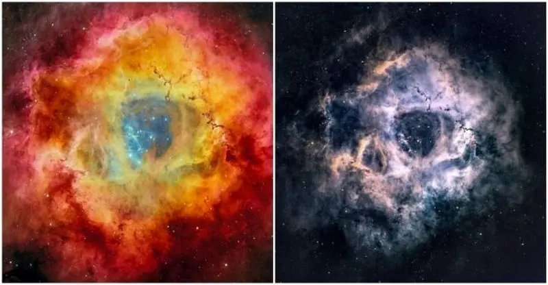 سحابی گل رز