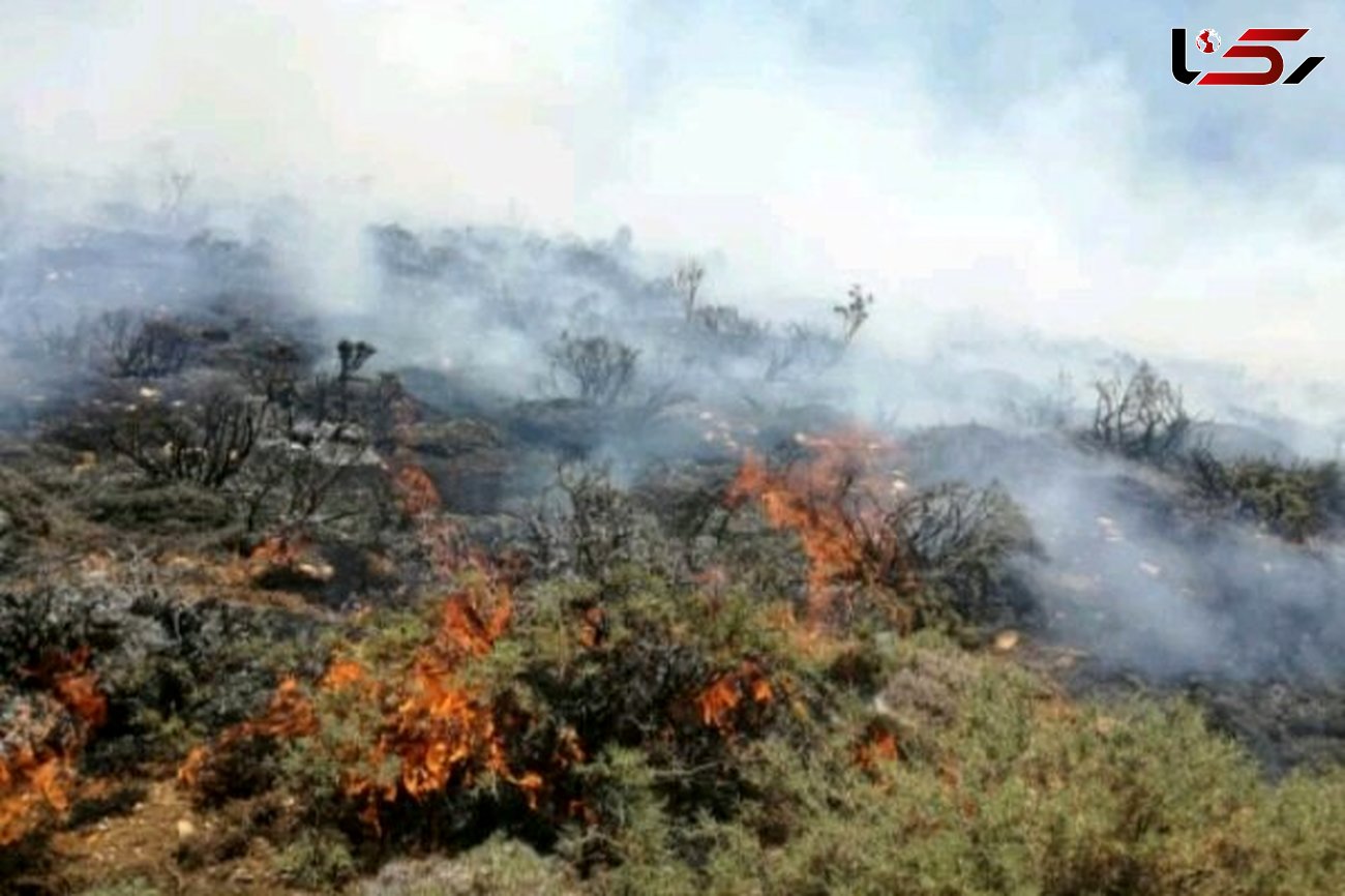 آتش سوزی «دینارکوه»آبدانان مهار شد