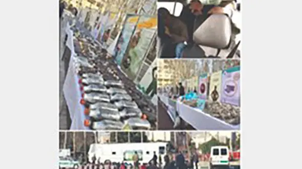 دستگیری سلطان کوکائین و فروشندگان «گل شیطان» در تهران + گفتگو وجزئیات