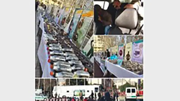 دستگیری سلطان کوکائین و فروشندگان «گل شیطان» در تهران + گفتگو وجزئیات