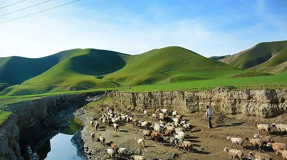منطره ای زیبا از ترکمن صحرا گلستان + عکس