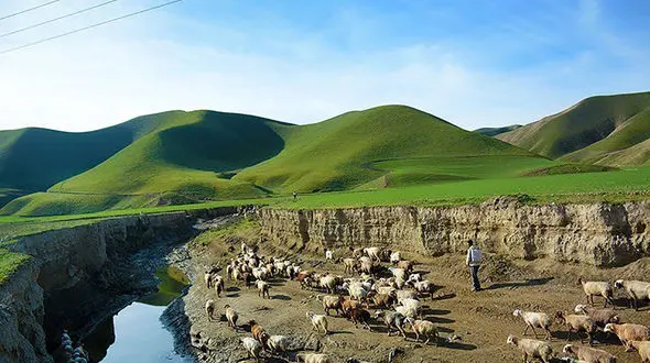 منطره ای زیبا از ترکمن صحرا گلستان + عکس