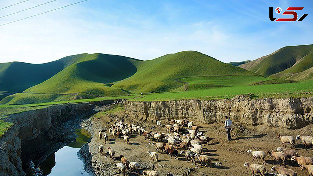 منطره ای زیبا از ترکمن صحرا گلستان + عکس