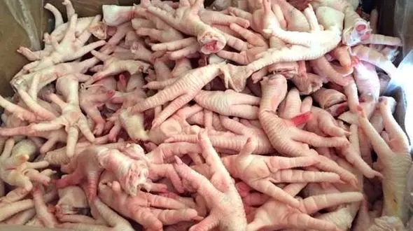 پای مرغ لرستان جهانی شد / صادرات 65تن به قرقیزستان