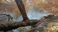 آتش جنگل های گلستان خاموش شد/ لکه گیری در حال انجام است