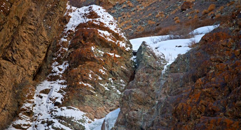 تست بینایی