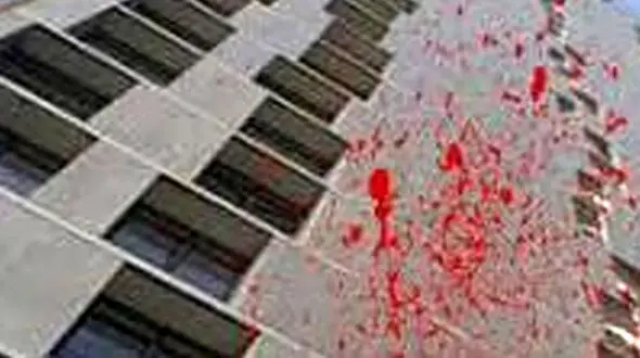 مرگ دلخراش آنیا کوچولو در کرمانشاه