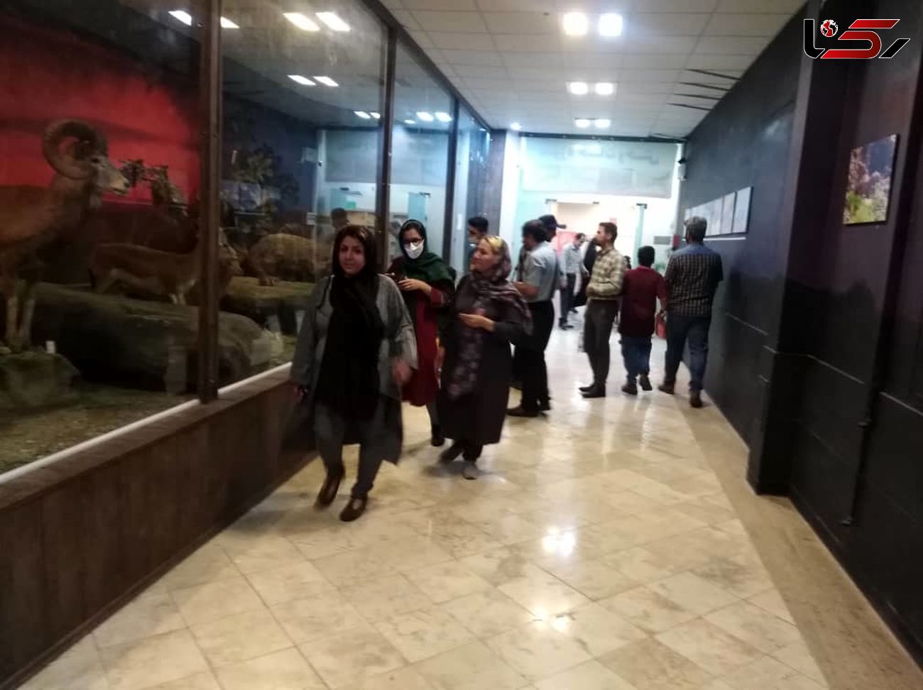 بازدید ورزشکاران از موزه تنوع زیستی شهر محمدیه 