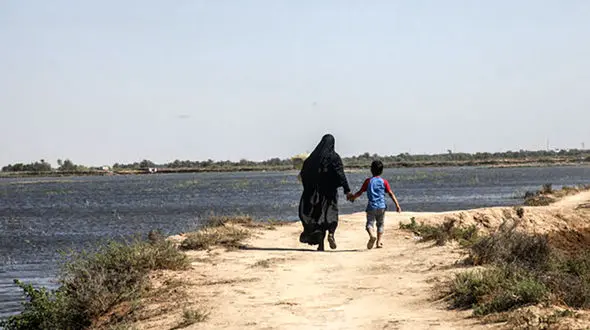  زباله خوابی زنان از ترس آزار و اذیت مردان در ماهشهر /  روزانه 100 پرونده طلاق وارد دادگاه خانواده اهواز می‌شود