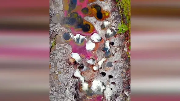 بازی رنگ ها در این رودخانه دیدن دارد + فیلم