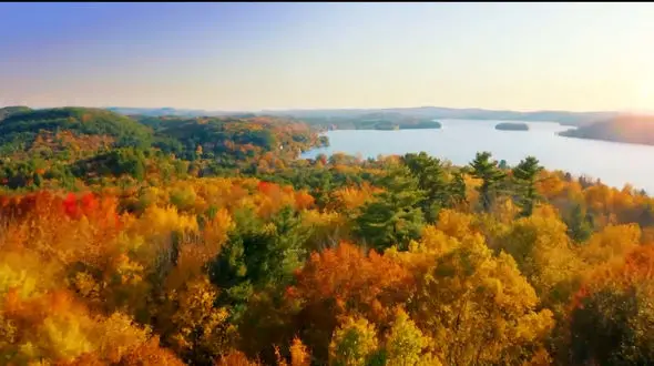 ببینید / نماهنگ بی کلام آرامش بخش به همراه تصاویر پائیزی + فیلم 