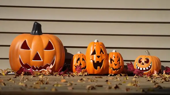 هالووین چیست؟ / نمادهای هالووین / غذاهای ترسناک هالووین + جداول کامل 