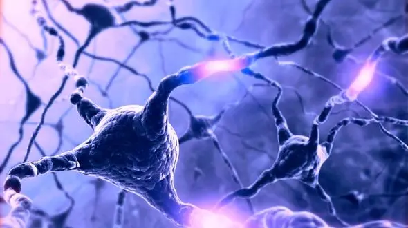 این نشانه ها، از بیماری ام اس خبر می دهند