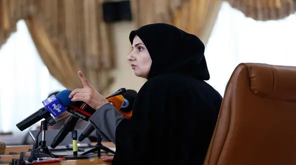 شکایت دولت از کریمی قدوسی به دلیل واردکردن اتهام جاسوسی به رییس جمهور