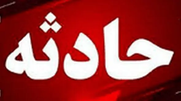 از فیل‌های رم‌کرده تا گاو خشمگین