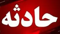 از فیل‌های رم‌کرده تا گاو خشمگین