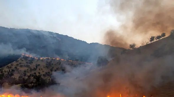 آتش سوزی در قلمروی آهوهای تربت‌جام + جزییات