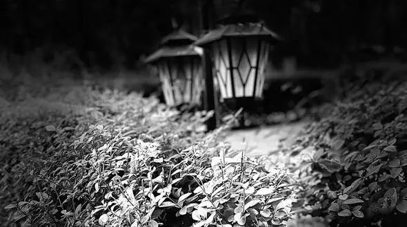 فال روزانه شخصی / 2 شهریور ماه + فیلم