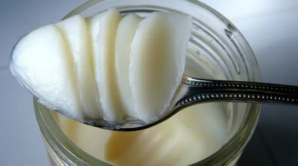 روغن دنبه از سالم ترین روغن های حیوانی 