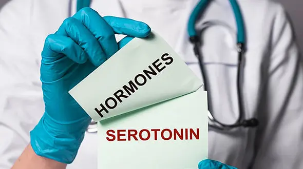 سروتونین چیست؟ / علائم کمبود و افزایش سروتونین + جدول های تخصصی