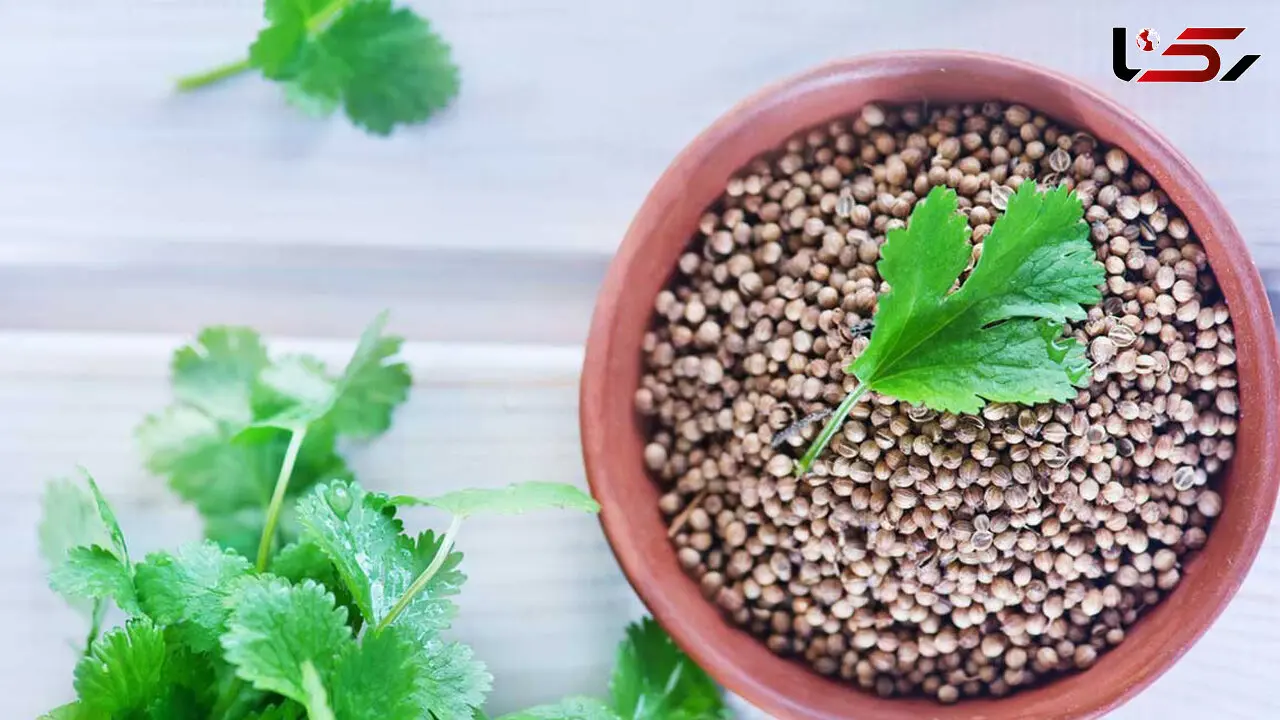 نقش موثر تخم گشنیز در سلامت دیابتی ها 