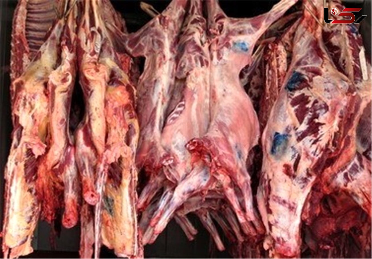 کشف 200 کیلو گوشت کثیف در ایست بازرسی چابکسر