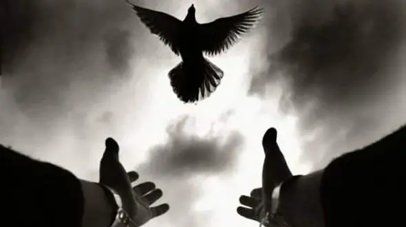 ازدواج عاشقانه دختر جوان با قاتل رها شده از اعدام