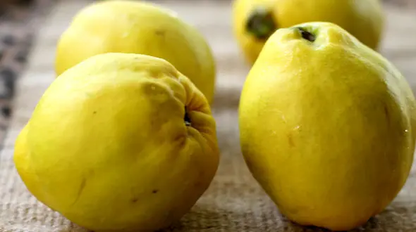 میوه تقویت کننده قلب