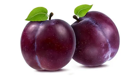 میوه ای که قاتل پوکی استخوان است