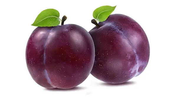 میوه ای که قاتل پوکی استخوان است
