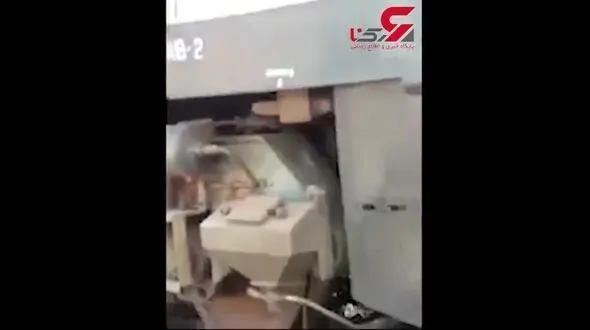 لحظه زیرکی یک گاو در صحنه  له شدن  زیر قطار + فیلم دیدنی