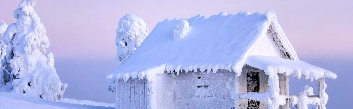 فیلم کمپینگ و ساخت پناهگاه و پخت خوراک گوشت روی هیزم