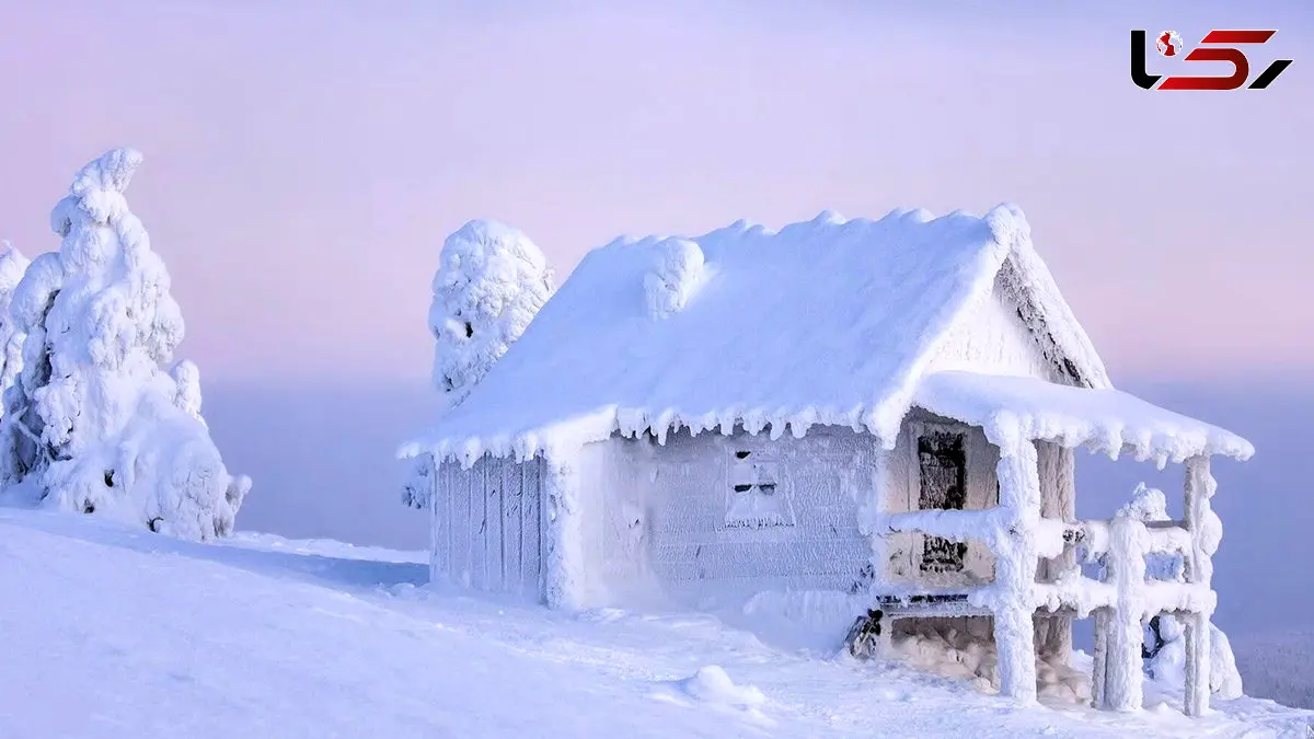 فیلم کمپینگ و ساخت پناهگاه و پخت خوراک گوشت روی هیزم