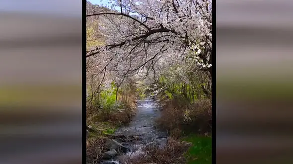 جذابیت های کردستان برای گردشگران + فیلم 