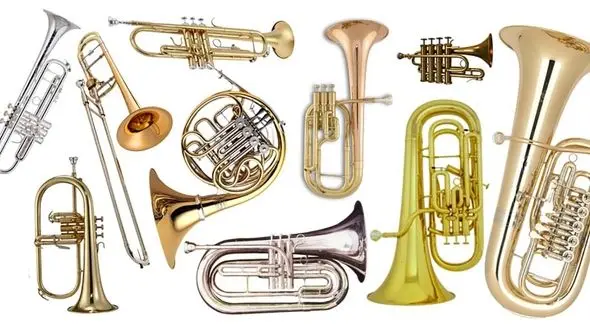 ساز بادی چیست؟ شناخت انواع ساز بادی + عکس