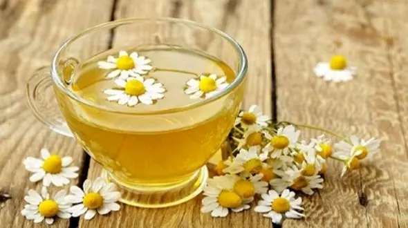 چرا باید در تابستان چای بابونه سرد بنوشید؟ راز سلامتی شما اینجاست!