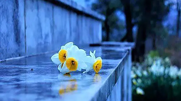 فال ابجد امروز / 6 تیر ماه + فیلم 