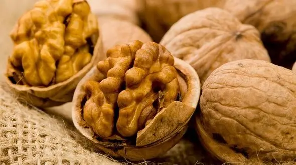 خواص نهفته در گردو/راز سلامتی با روزانه 10 عدد گردو