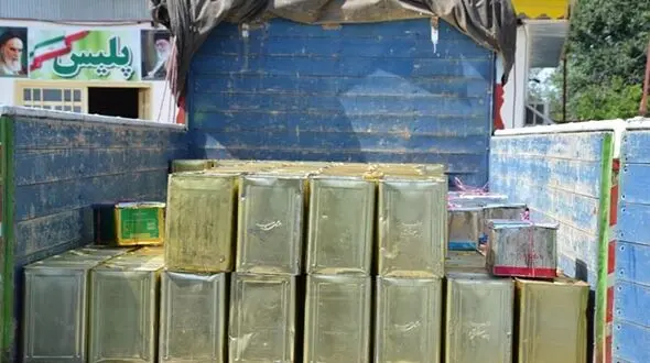 کشف بیش از چهار تن عسل و موم تقلبی در "تالش"