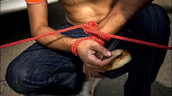 شرور حبس ابدی دستگیر شد