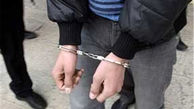 دستگیری سارقان حرفه ای احشام و مغازه